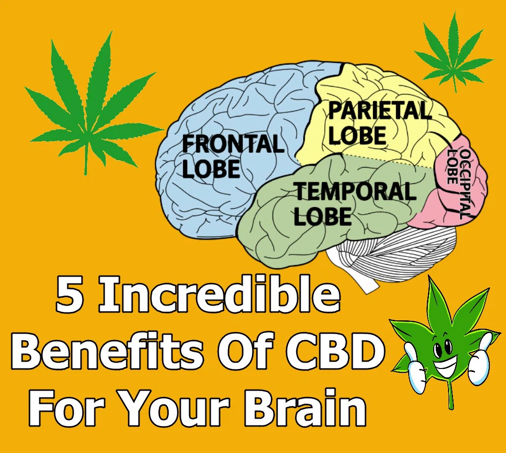 cbd benefit for brain cbd benefit for brain