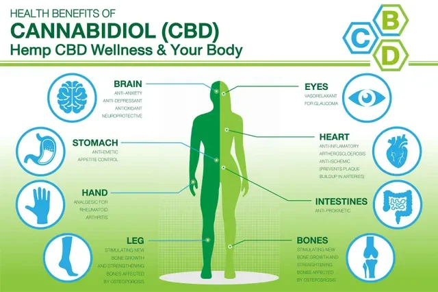 health benefits of CBD Hemp CBD wellness and your body health benefits of CBD Hemp CBD wellness and your body