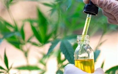 CBD تیل کے 9 صحت سے متعلق فوائد - اور ضمنی اثرات